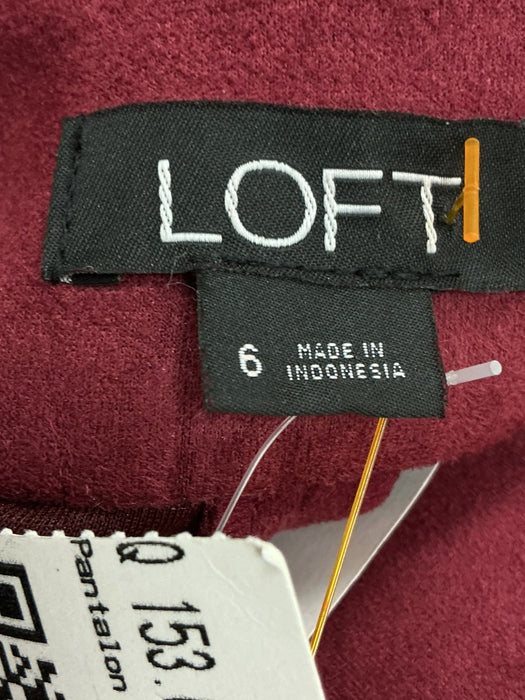 Leggins 6 (LOFT)