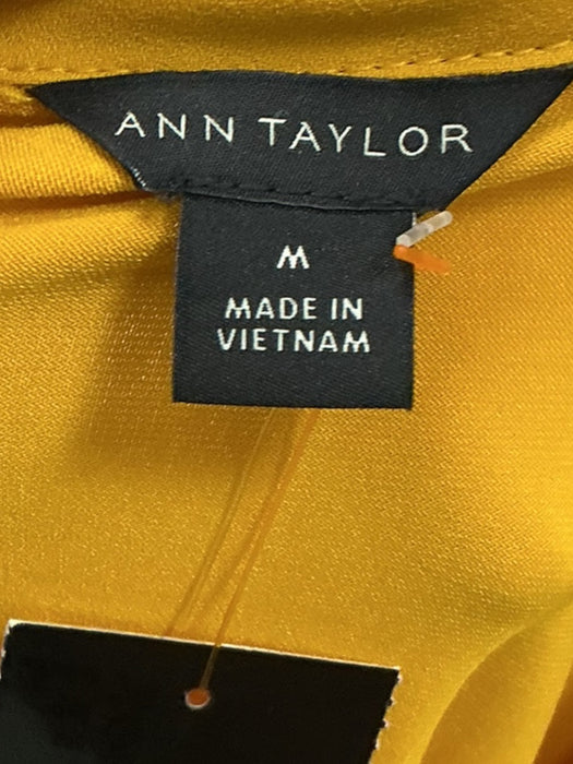 Blusa M (ANN TAYLOR)