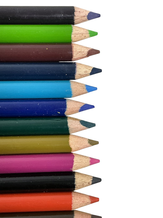 Set de crayones (ROSEART)