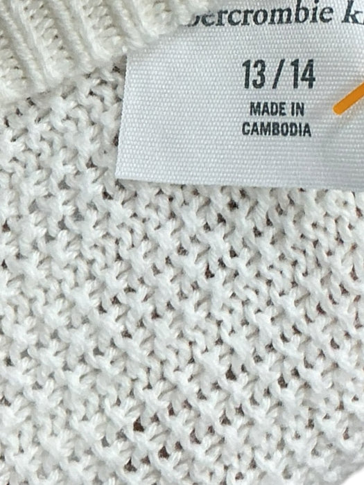 Sudadero 13/14 (ABERCROMBIE)
