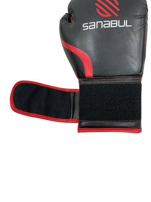 Guantes de boxeo (SANABUL)