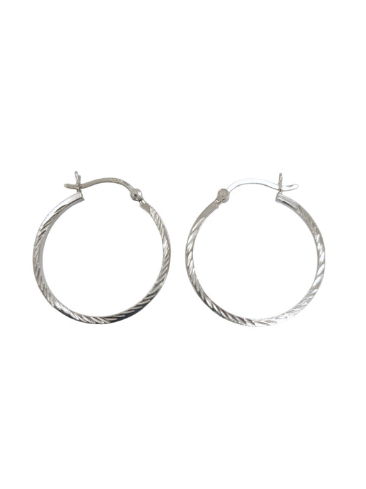 Aretes de plata (925)
