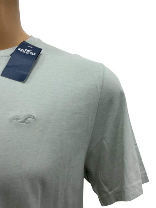 Playera L (HOLLISTER)