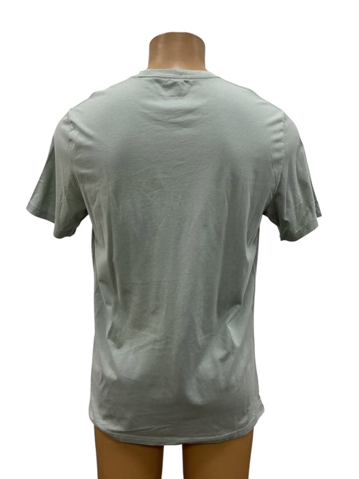 Playera L (HOLLISTER)