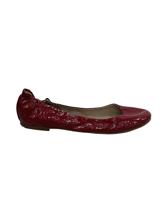 Zapato 8.5 (MISSIMO)
