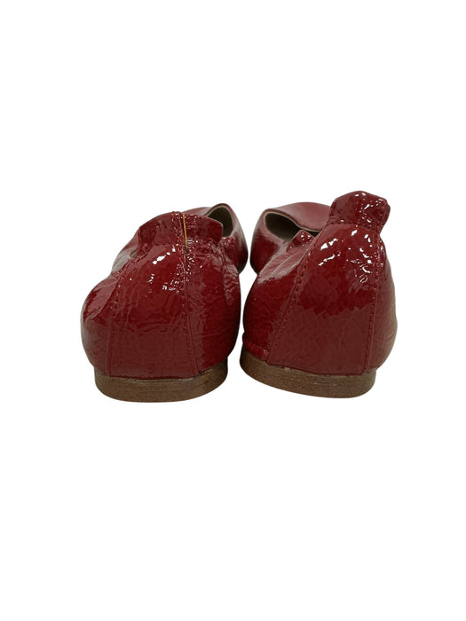 Zapato 8.5 (MISSIMO)