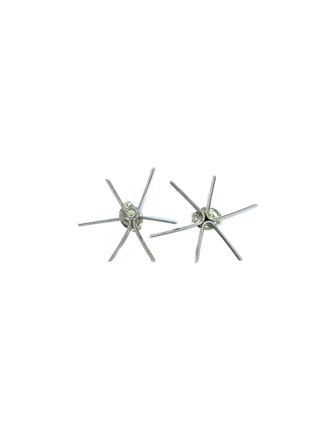 Aretes de plata