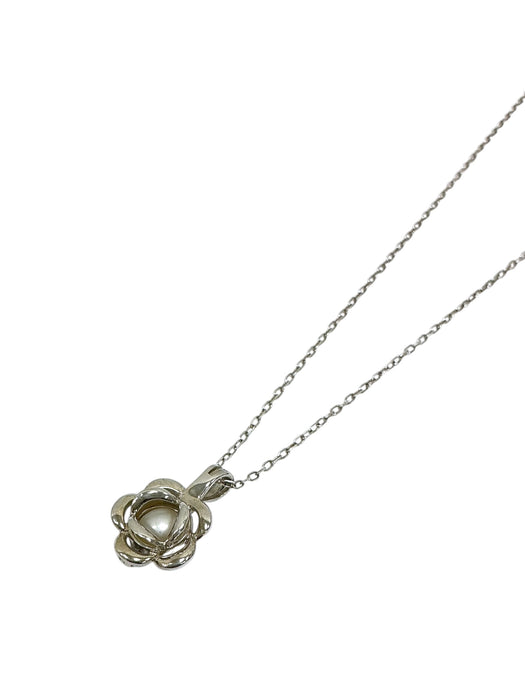 Cadena de plata (925)