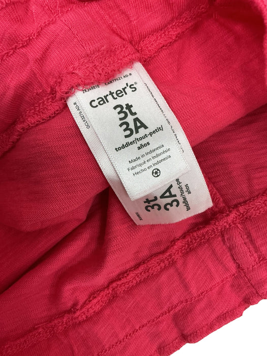 Conjunto para niñ@ 3T (CARTER'S)