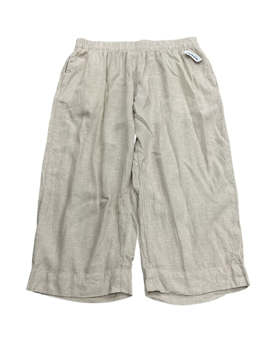 Pescador L (OLD NAVY)
