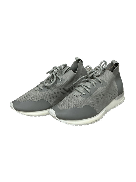 Tenis