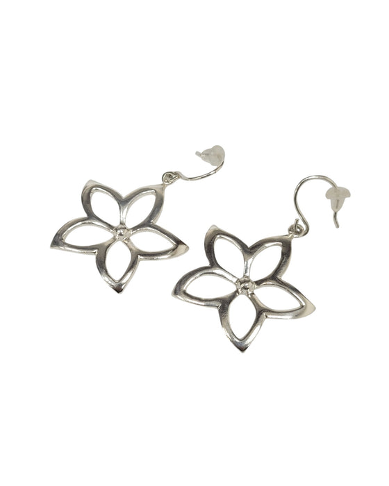 Aretes de plata (925)