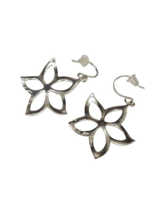 Aretes de plata (925)