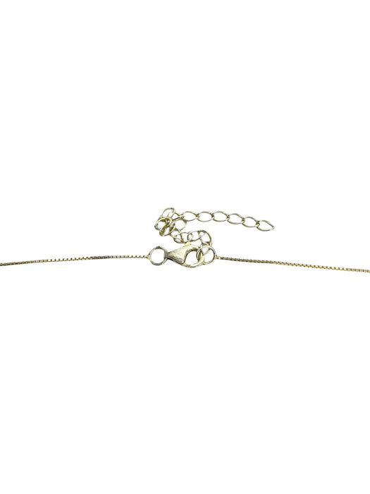 Cadena de plata (925)