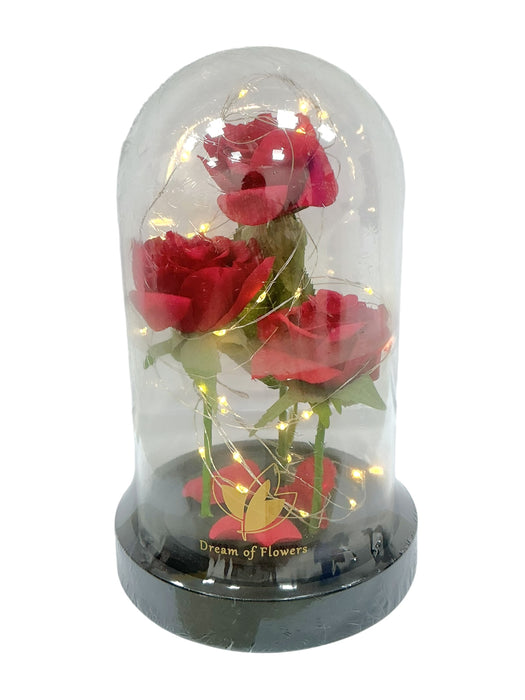 Rosa eterna (DREAM OF FLOWER)