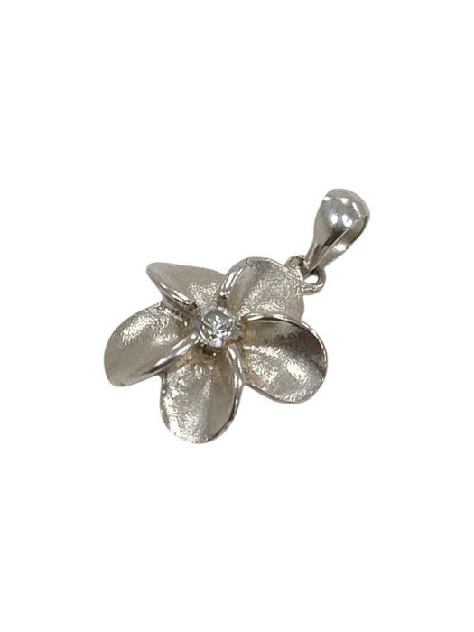 Dije de plata (925)