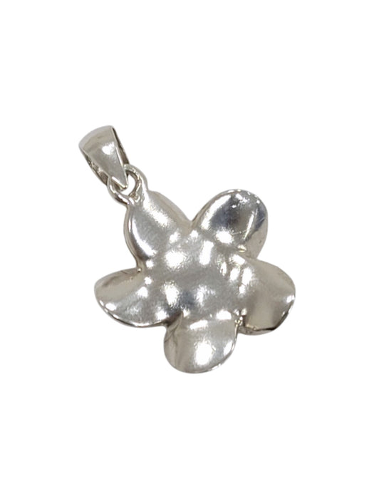 Dije de plata (925)