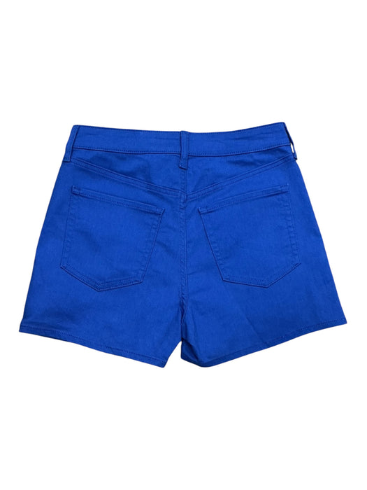 Short 4 (OLD NAVY)