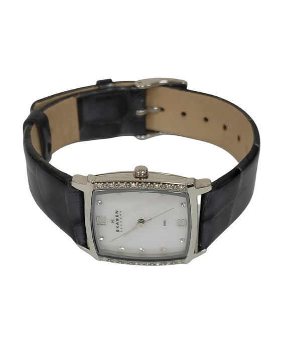 Reloj (SKAGEN)