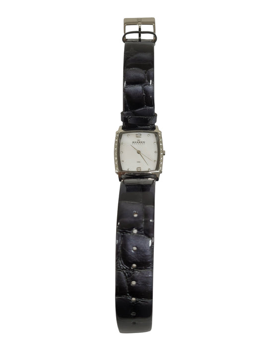 Reloj (SKAGEN)