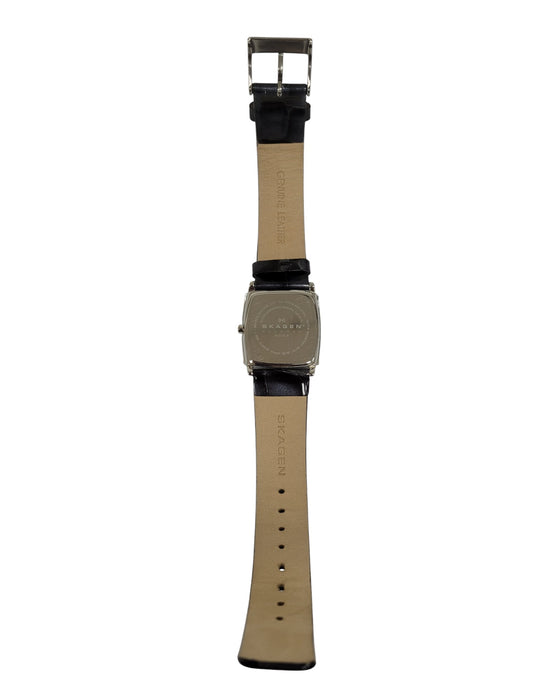 Reloj (SKAGEN)