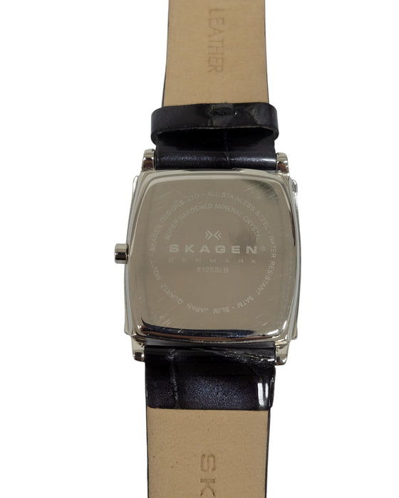 Reloj (SKAGEN)