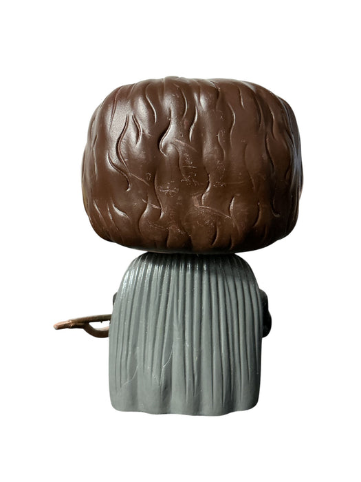 White Walker y el Bran Stark (FUNKO)