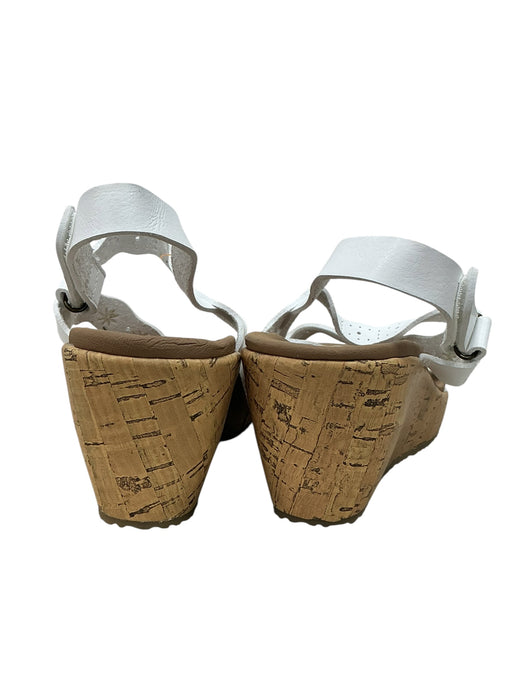 Plataforma 7 (SKECHERS)