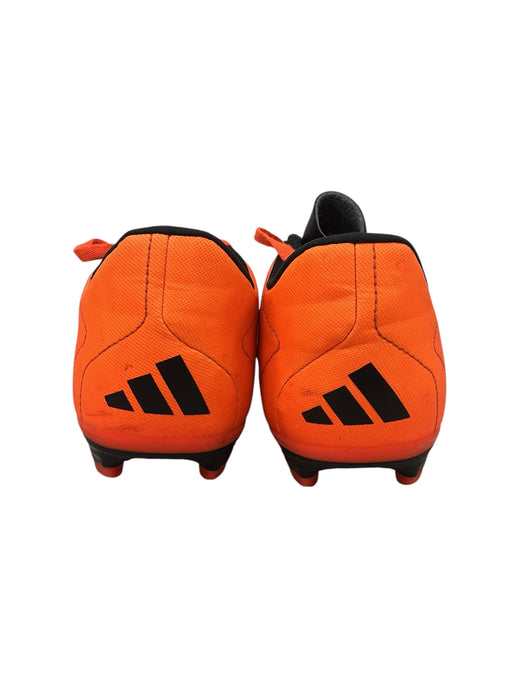 Zapato 6 (ADIDAS)