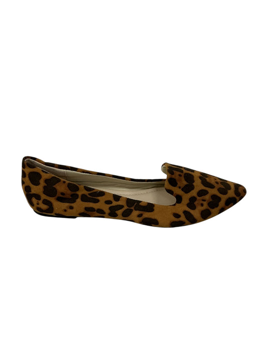 Zapato 8 (MUSSHOE)