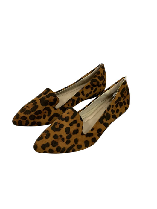 Zapato 8 (MUSSHOE)