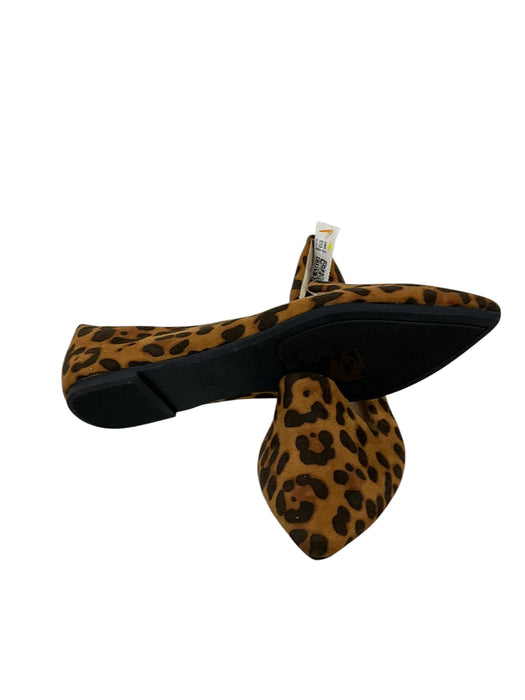 Zapato 8 (MUSSHOE)