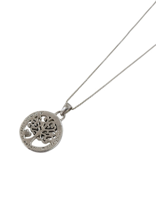 Cadena de plata (925)