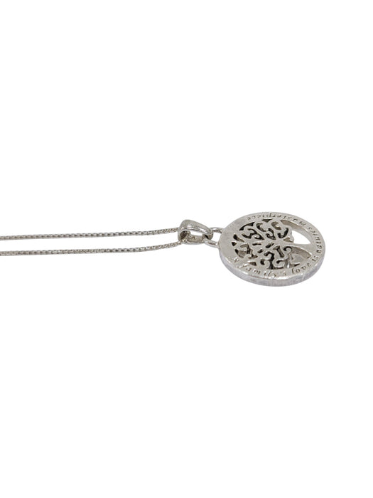 Cadena de plata (925)