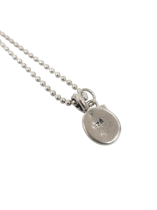 Cadena de plata (925)