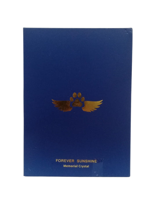 Set para Mascota (FOREVER SUNSHINE)