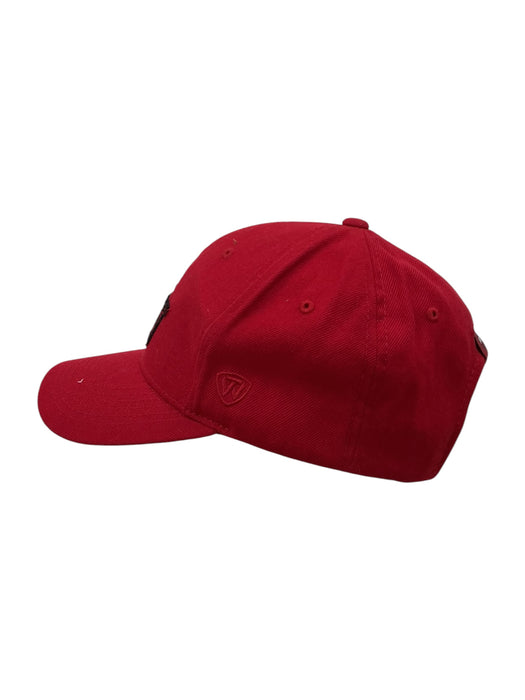 Gorra (TOP OF THE WORLD)