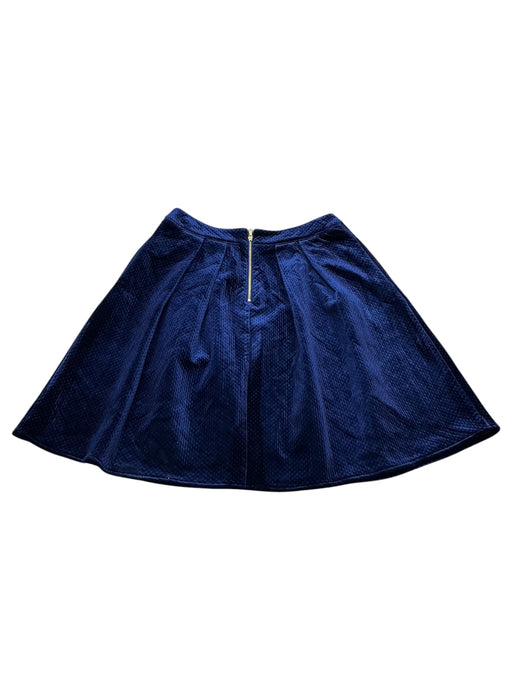 Falda 4 (J. CREW)