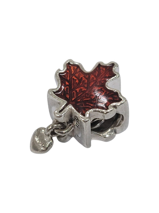 Charm de plata (925)