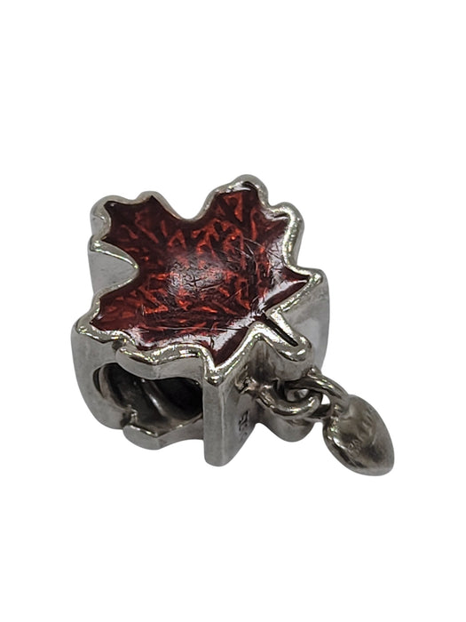Charm de plata (925)