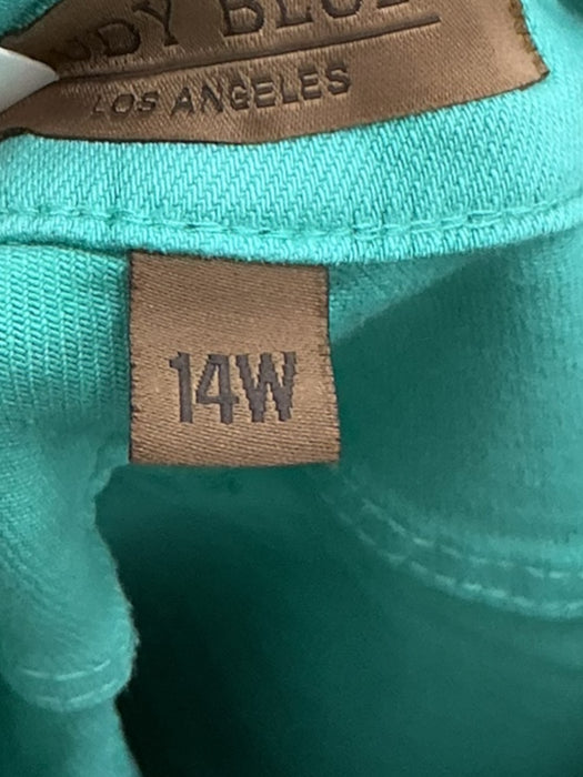 Pantalón 14 (JUDY BLUE)