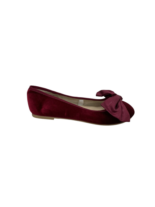 Zapato para niñ@ 3 (CAT & JACK)