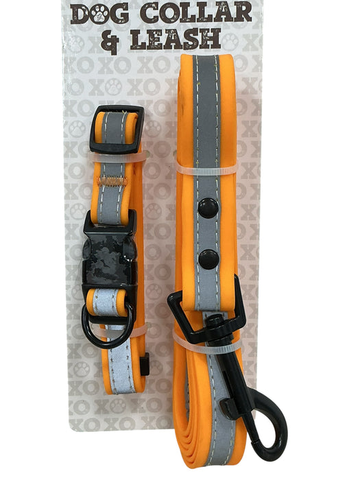 Collar y correa para perro (TRISHA YEARWOOD)