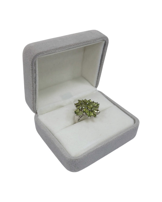 Anillos de plata (925)