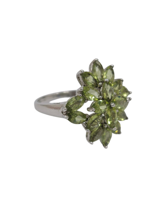 Anillos de plata (925)