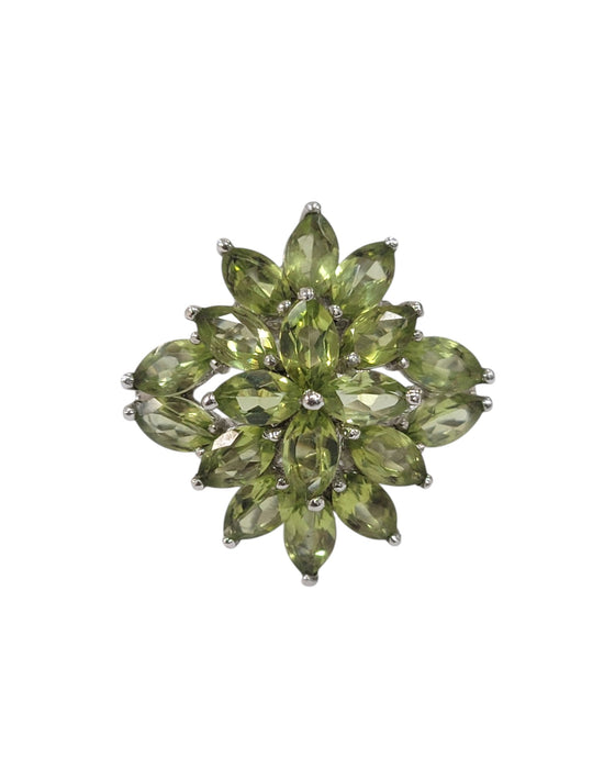 Anillos de plata (925)