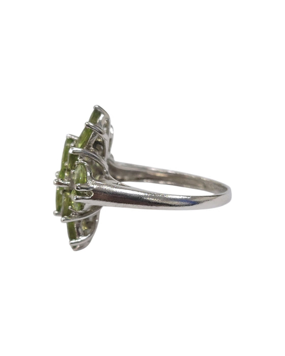 Anillos de plata (925)