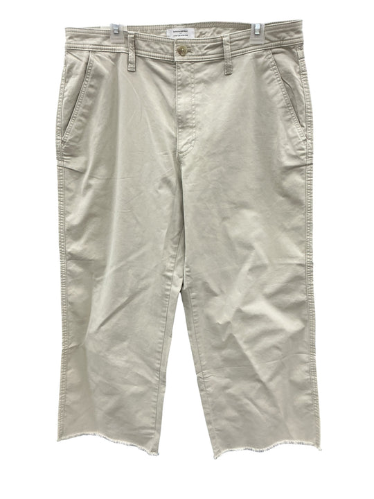 Pescador 14 (BANANA REPUBLIC)