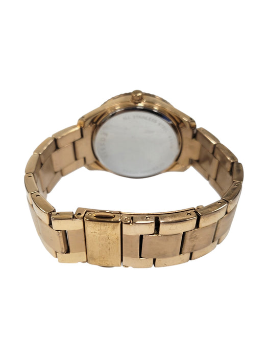 Reloj (FOSSIL)