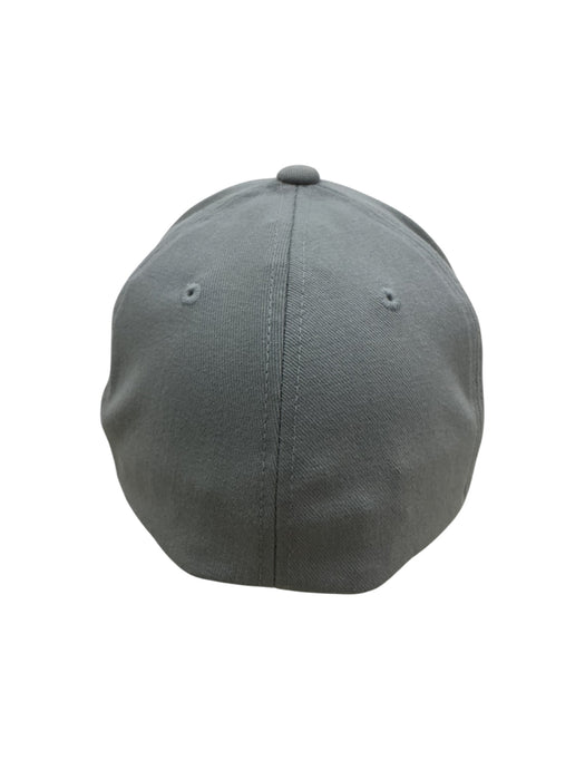 Gorra (FLEXFIT)